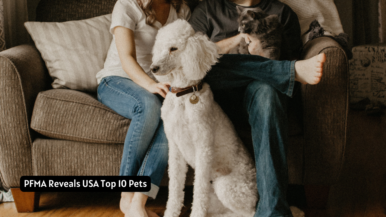 PFMA Reveals USA Top 10 Pets