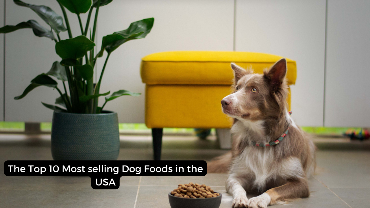 Top 10 Most selling Dog Foods in the USA